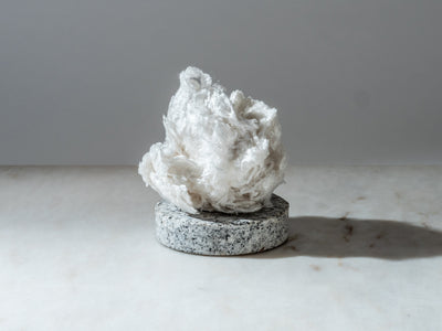 Bamboo Viscose vs Bamboo Lyocell: What’s the Difference (And Why It Matters)