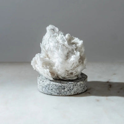 Miroir, miroir au mur, lequel est le plus durable ? Viscose, Lyocell d'origine forestière ou Lyocell de bambou