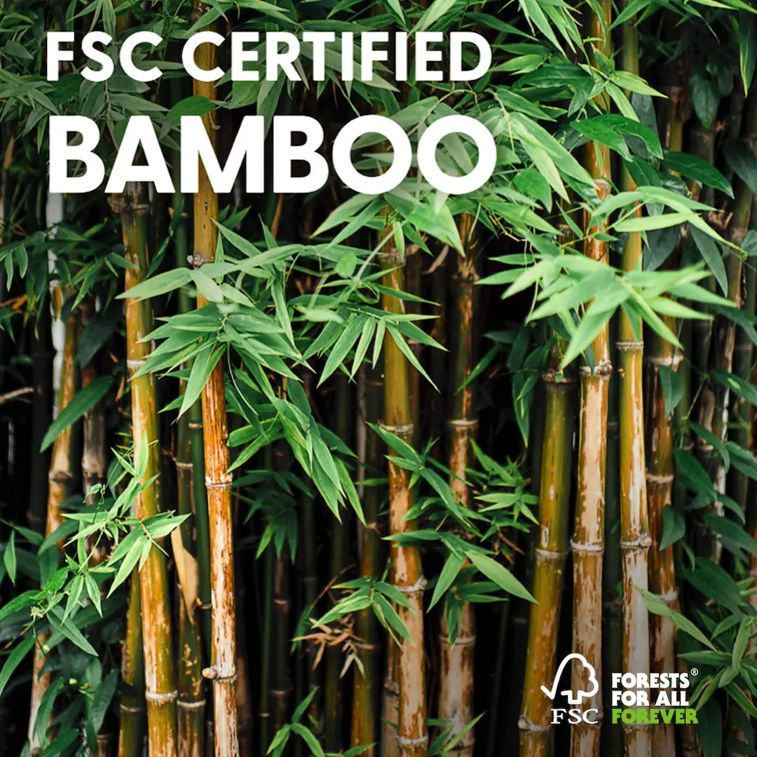 What is the FSC certification and why you should look for it