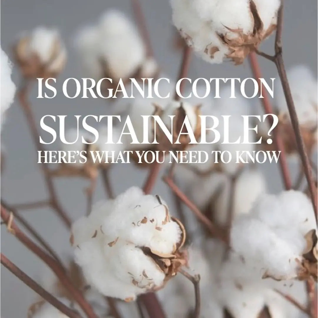 CleanBamboo® vs. Organic Cotton