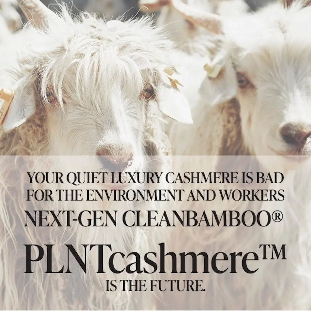 Your quiet luxury cashmere is terrible for the environment and workers; Next-gen CleanBamboo® PLNTcashmere™ is the future