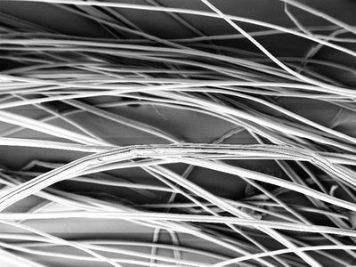 What Does Bamboo Lyocell Look Like Under a Microscope?