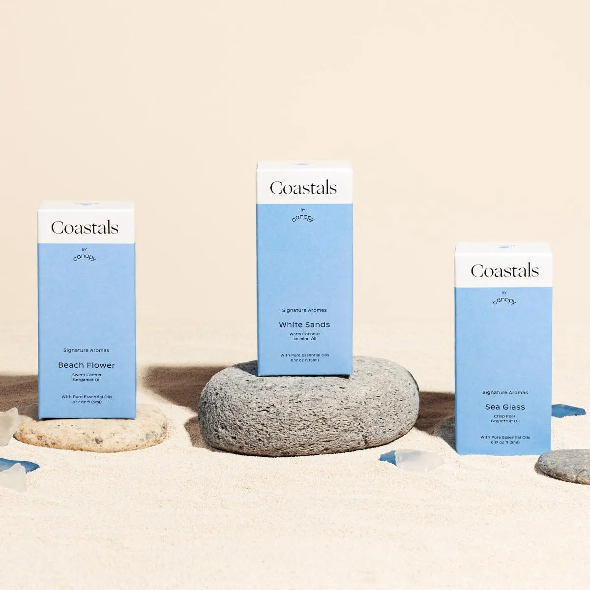 Canopy: Coastals Aroma Kit