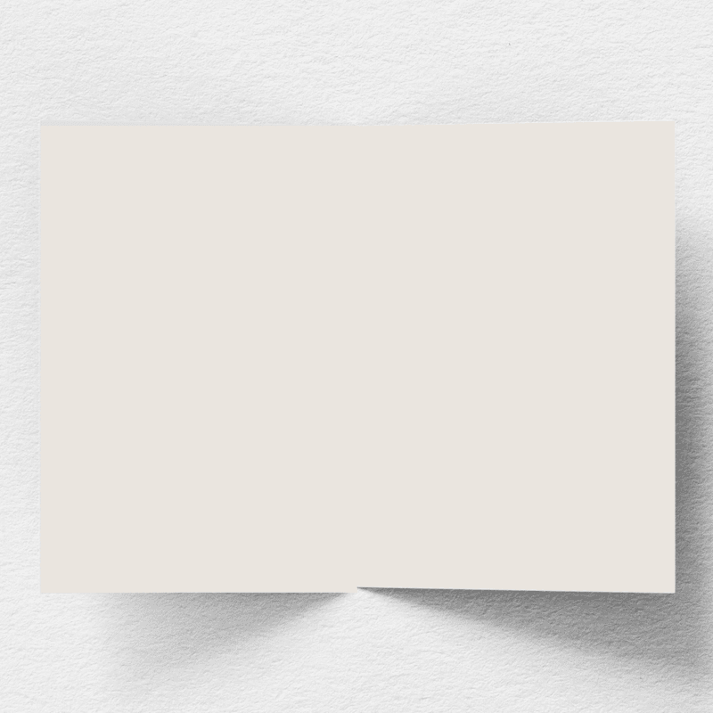 rendered_1