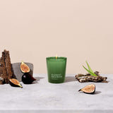 Element Brooklyn: Wicked Ficus Candle